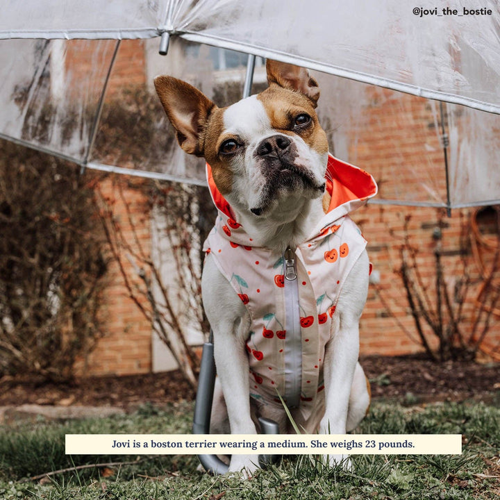 The Cheery Cherries Reversible Raincoat: X-Large