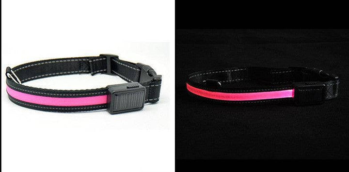 SolarPup LED Reflective Collar: Keep Your Furry Friend Safe and Stylish!: Blue / S