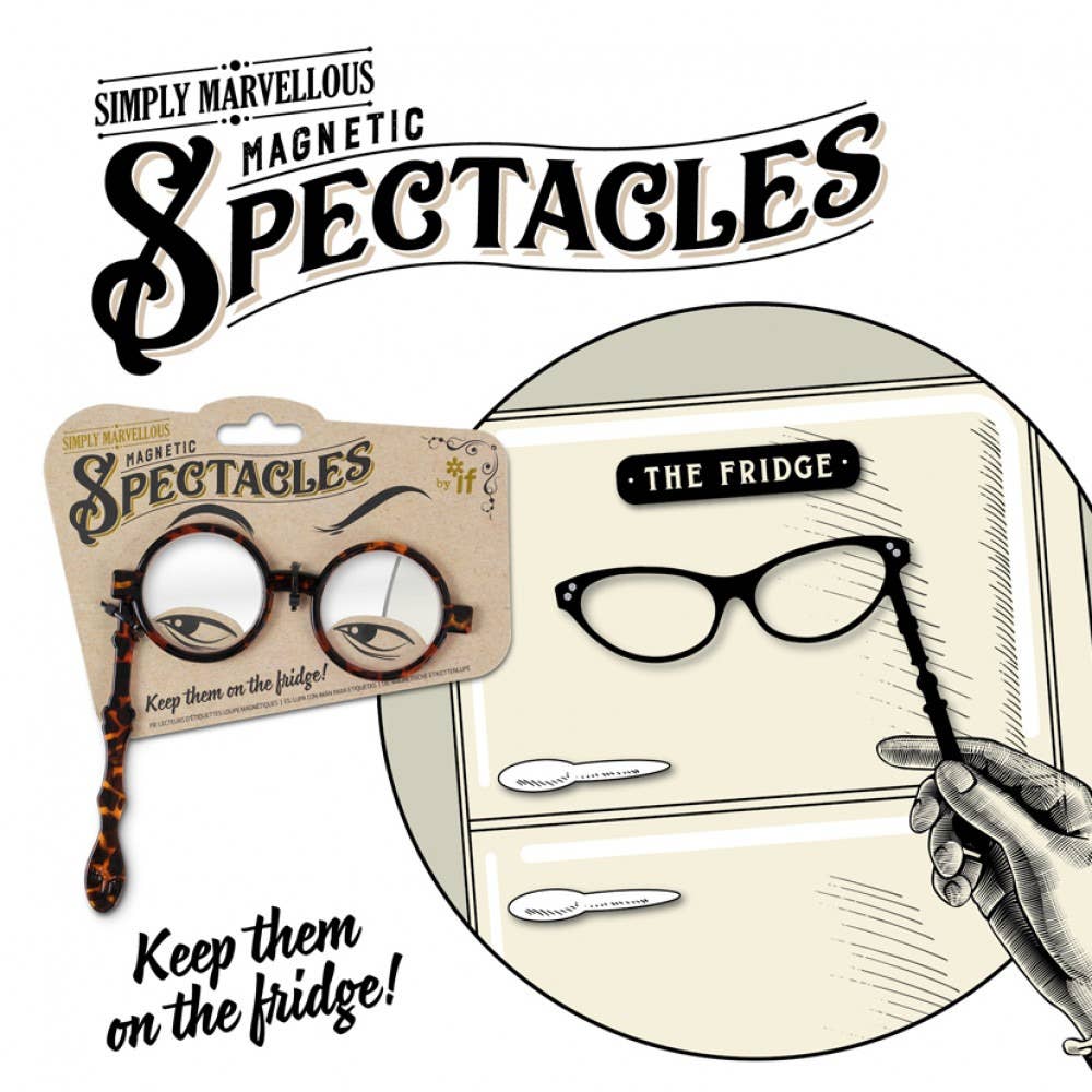 Simply Marvellous Magnetic Spectacles: Tortoiseshell Round