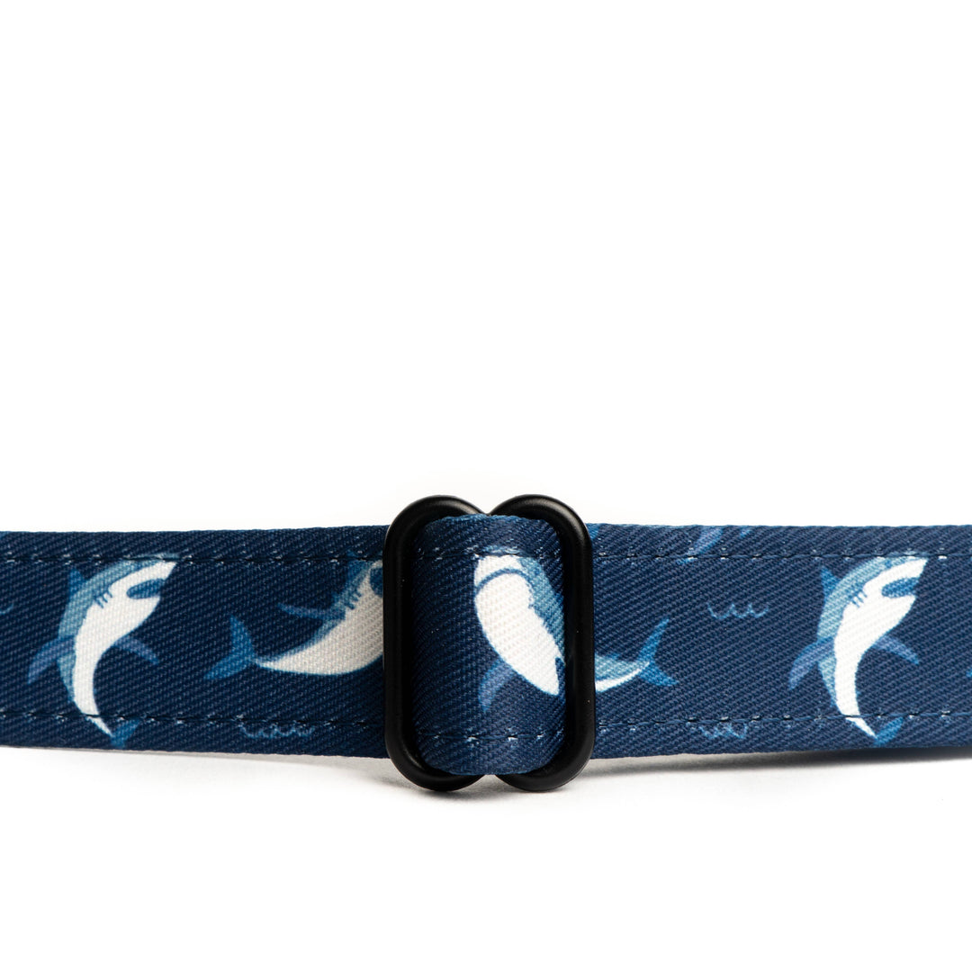 Shark Attack Collar: Medium