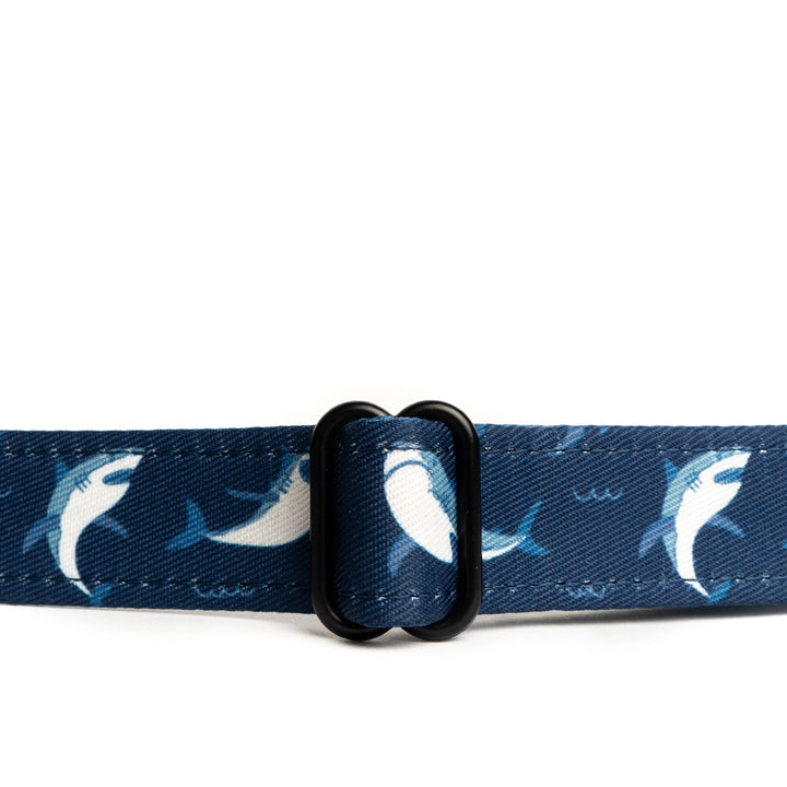 Shark Attack Collar: Medium