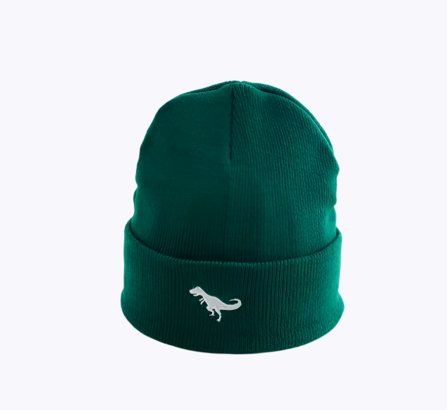 Dinosaur Beanie, Assorted