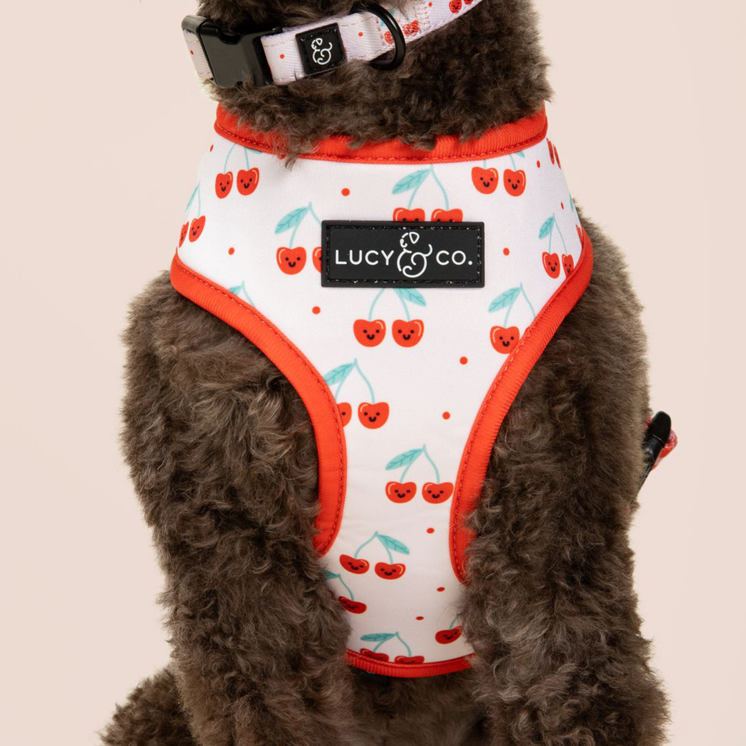 The Cheery Cherries Reversible Harness: Medium