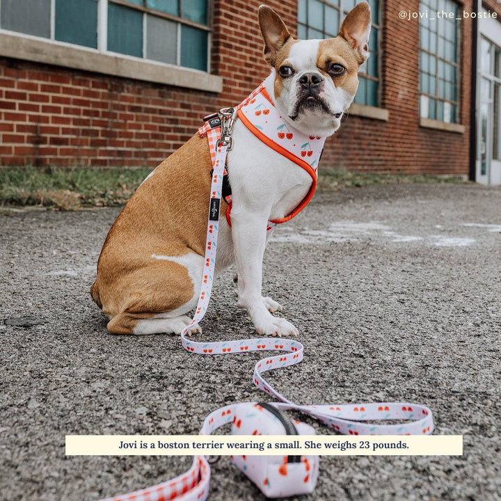 The Cheery Cherries Leash: Small