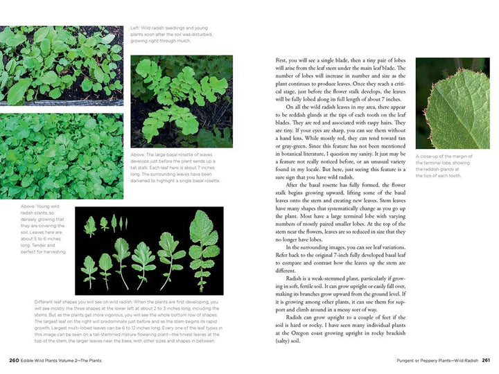 Edible Wild Plants, Volume 2