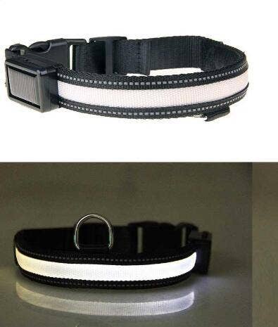 SolarPup LED Reflective Collar: Keep Your Furry Friend Safe and Stylish!: Green / M