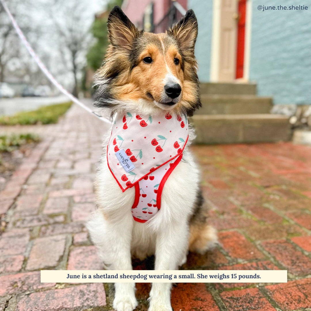 The Cheery Cherries Bandana: Large