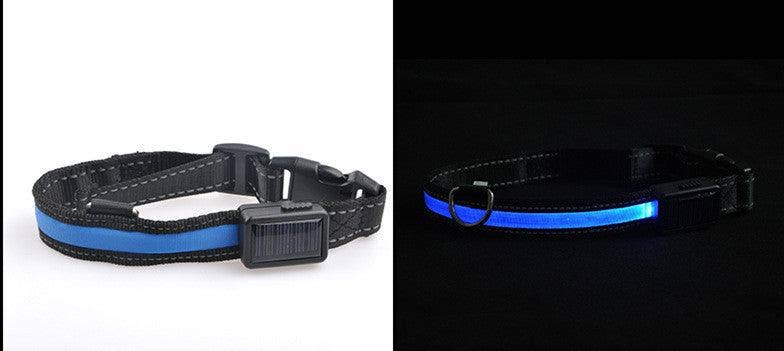 SolarPup LED Reflective Collar: Keep Your Furry Friend Safe and Stylish!: Red / L
