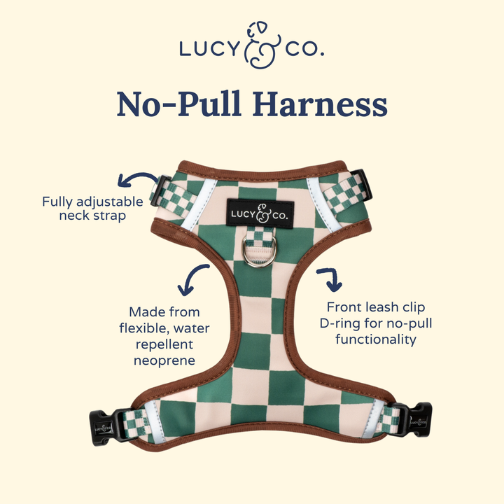 The You're a Square No-Pull Harness: Medium