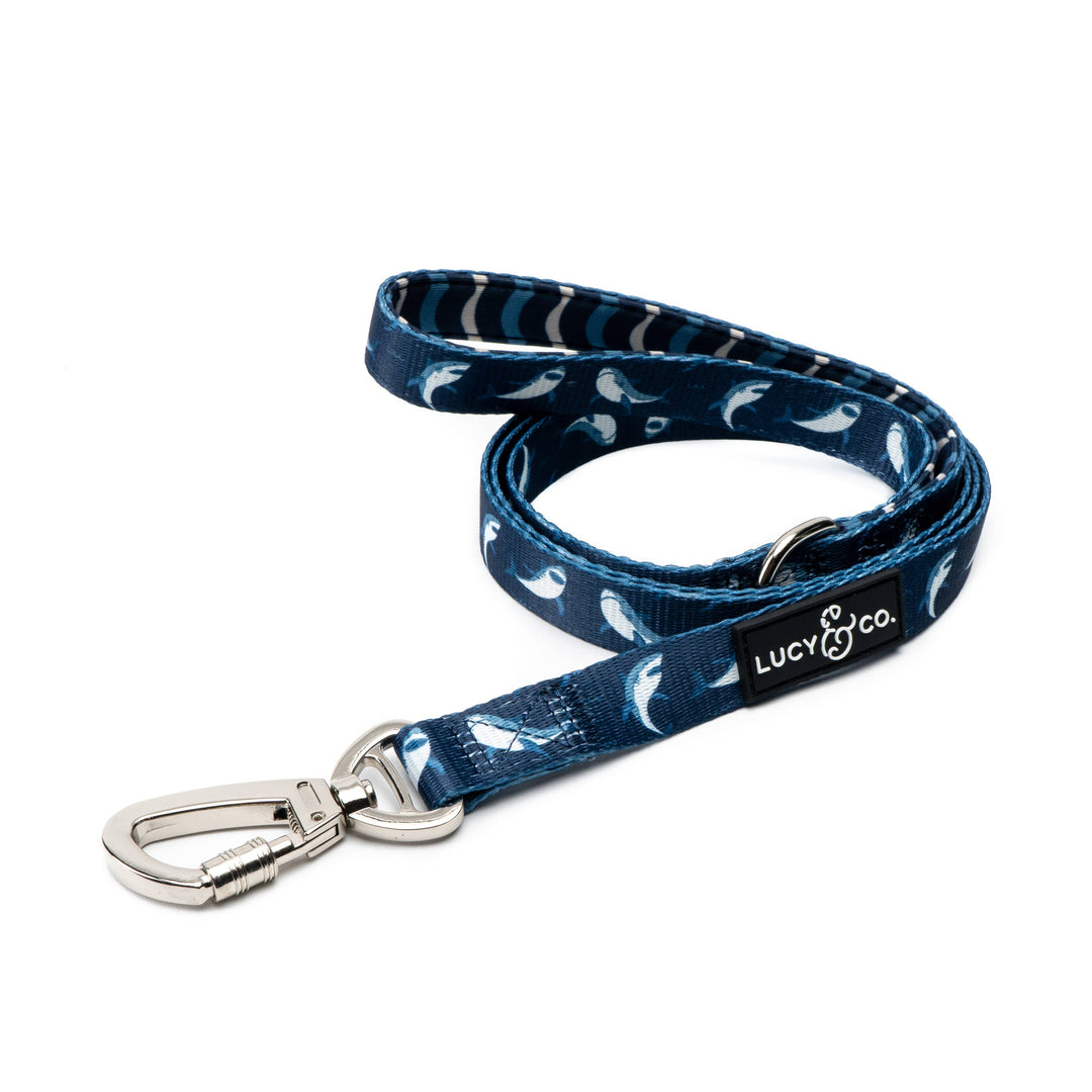 Shark Attack Matching Leash: Small