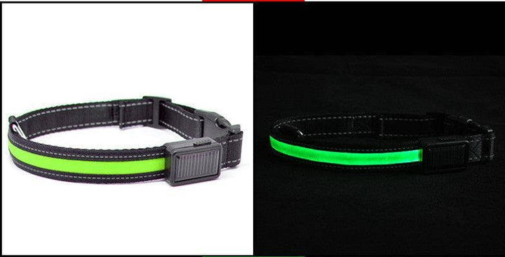 SolarPup LED Reflective Collar: Keep Your Furry Friend Safe and Stylish!: Blue / S