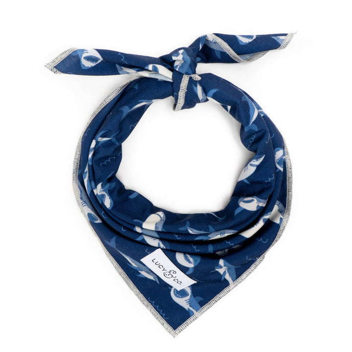 The Shark Attack Bandana: Large