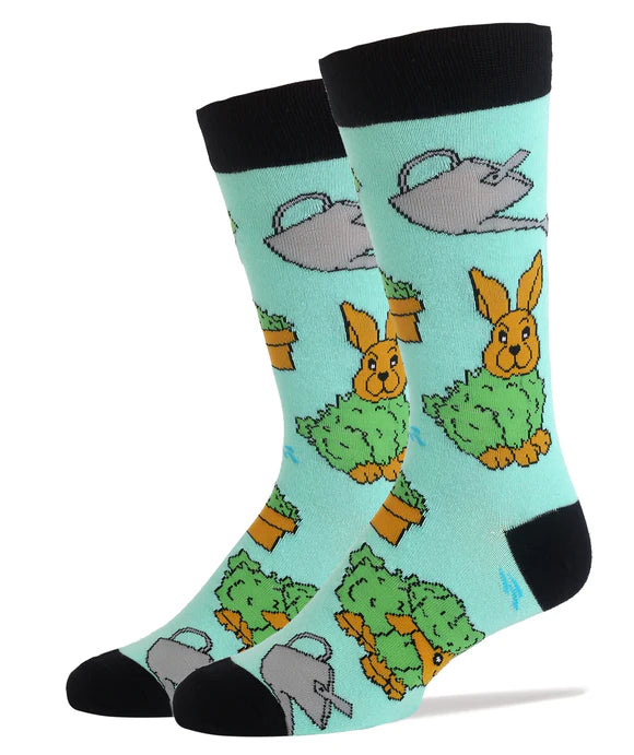 Chia Bunny/Men's  Cotton Crew Socks