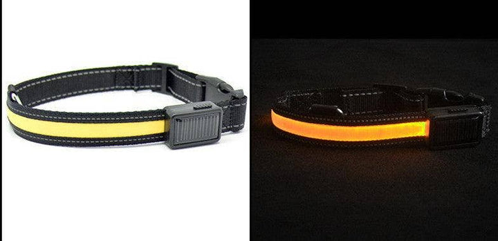 SolarPup LED Reflective Collar: Keep Your Furry Friend Safe and Stylish!: Blue / S