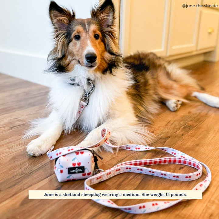 The Cheery Cherries Leash: Small