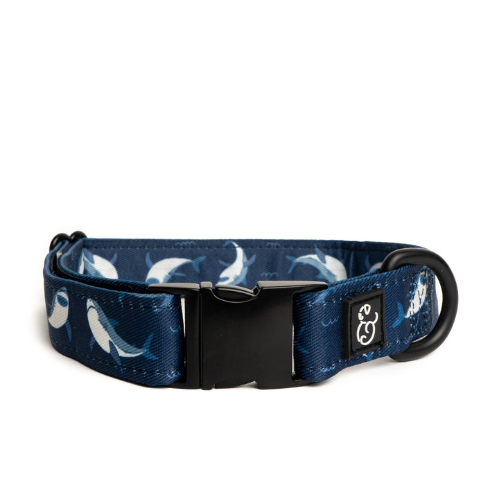 Shark Attack Collar: Medium