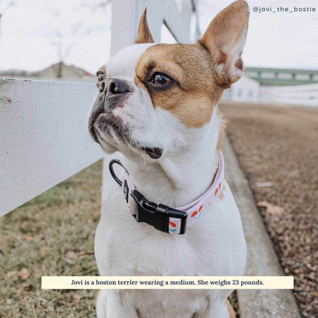 The Cheery Cherries Collar: Small