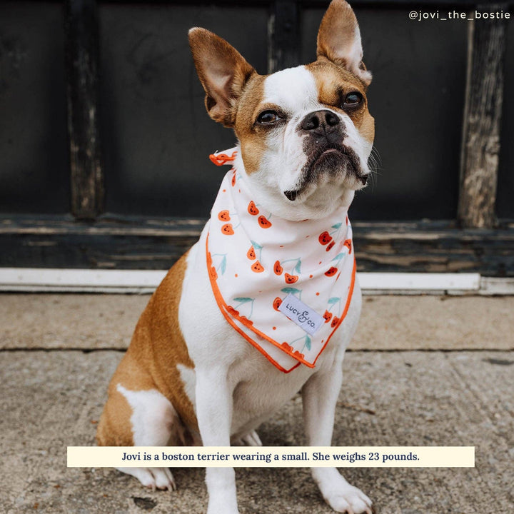 The Cheery Cherries Bandana: Large