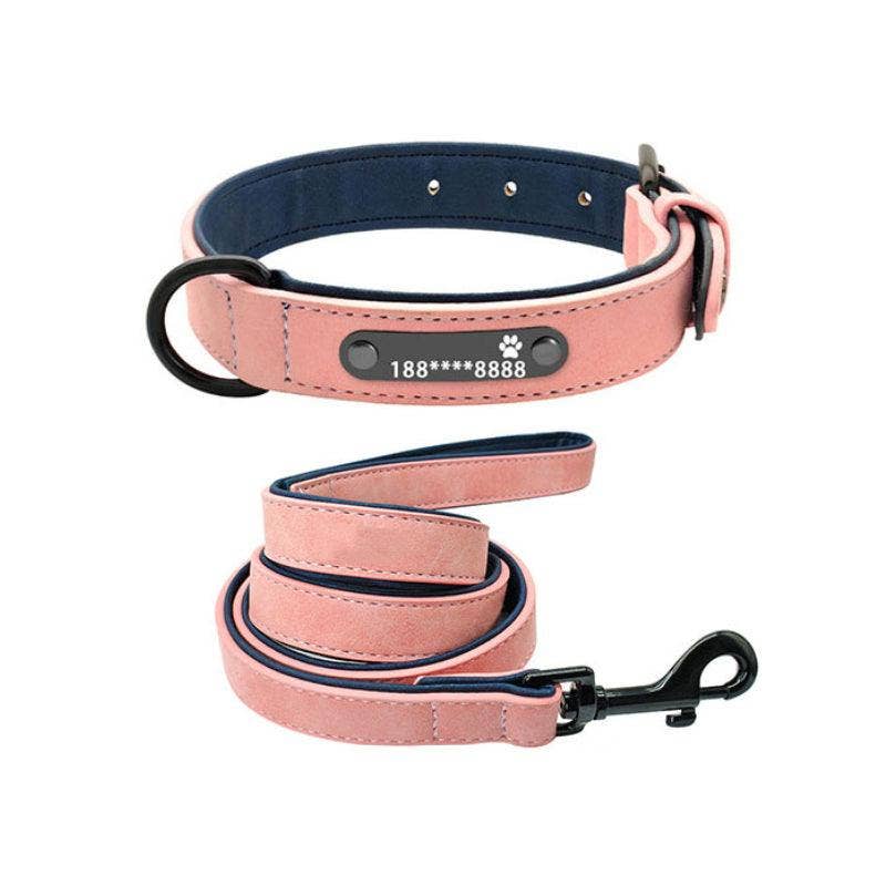 Personalized Leather Dog Collar with Anti-Lost Lettering for Dogs of All Sizes: Green Plus 1.2 Tow Rope / M