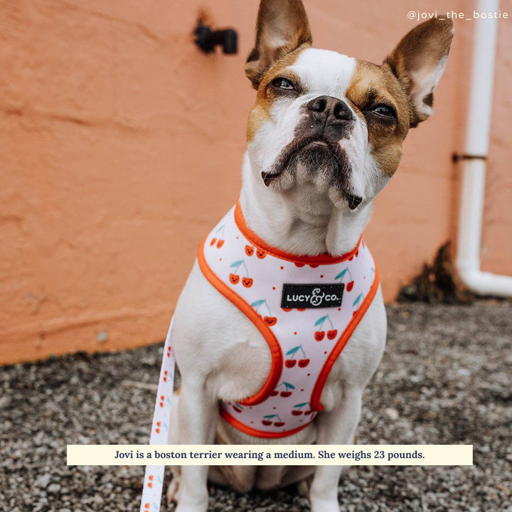 The Cheery Cherries Reversible Harness