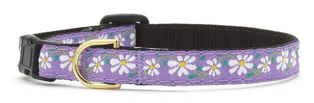 Up Country- SZ 12 Daisy Cat Collar