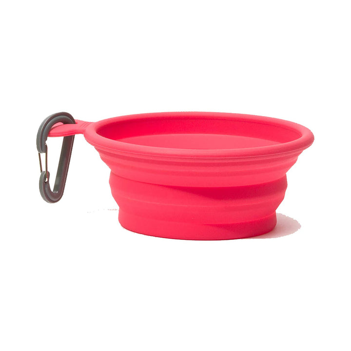 Messy Mutts Silicone Collapsible Bowl Watermelon