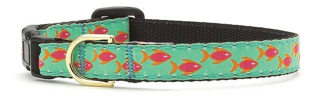 Up Country- SZ 12 Tropical Fish Cat Collar