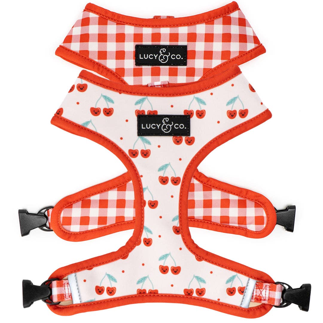 The Cheery Cherries Reversible Harness: Medium