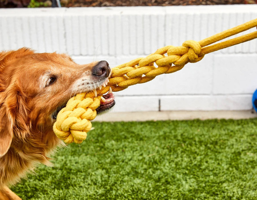 Jax & Bones Top Tugger Rope Knot Dog Toy Gold 11"