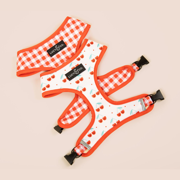 The Cheery Cherries Reversible Harness: Medium