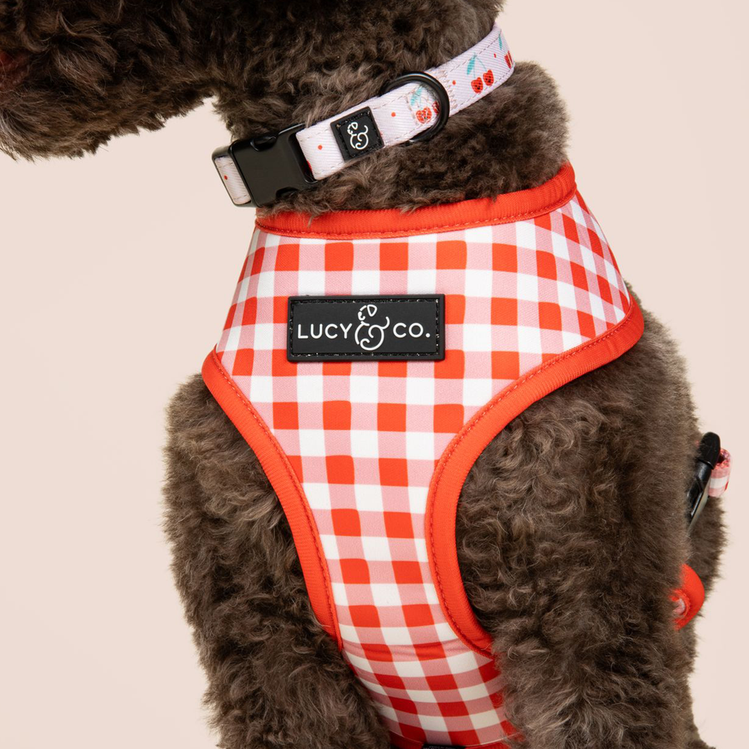 The Cheery Cherries Reversible Harness: Medium