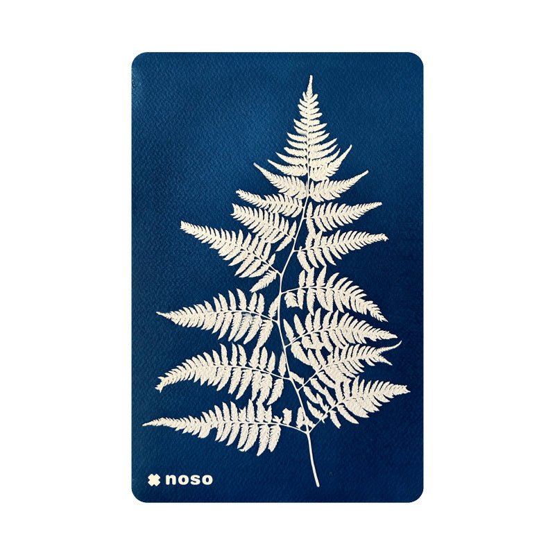 NoSo Fern by Kellie Swanson