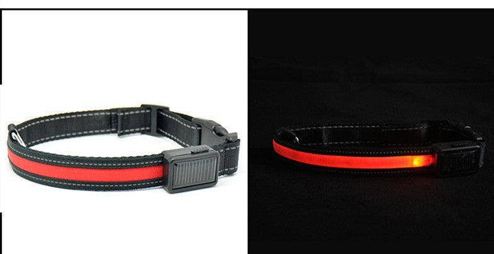 SolarPup LED Reflective Collar: Keep Your Furry Friend Safe and Stylish!: Red / L